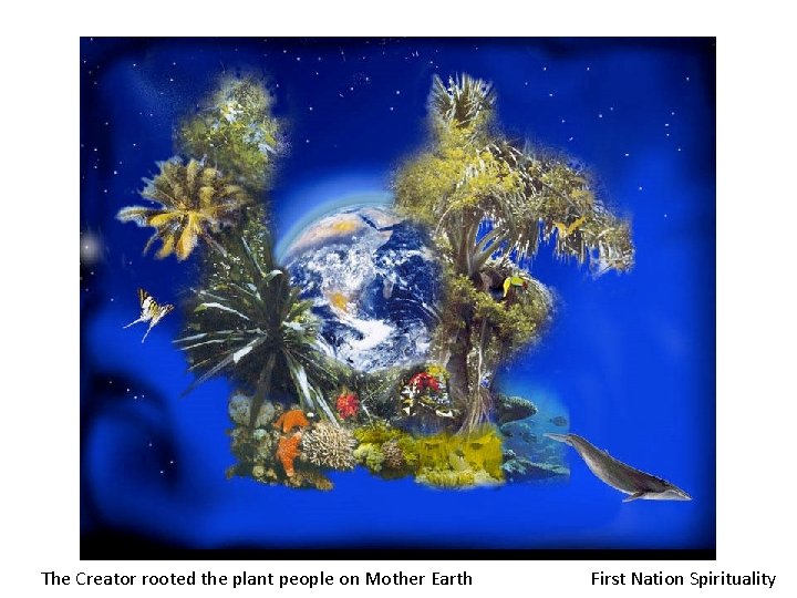 The Creator rooted the plant people on Mother Earth First Nation Spirituality 