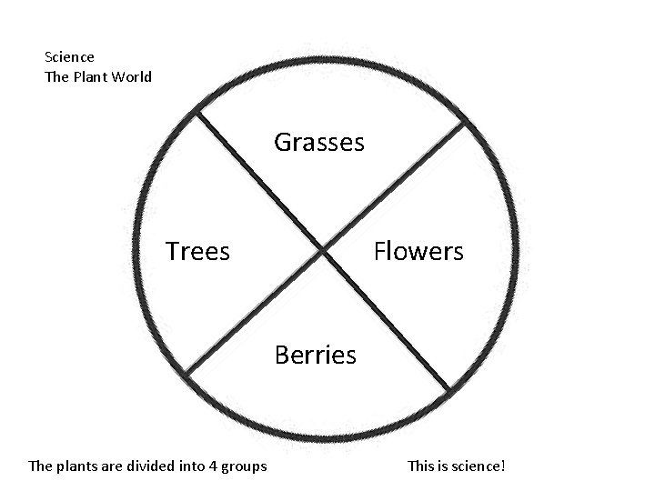 Science The Plant World Grasses Trees Flowers Berries The plants are divided into 4