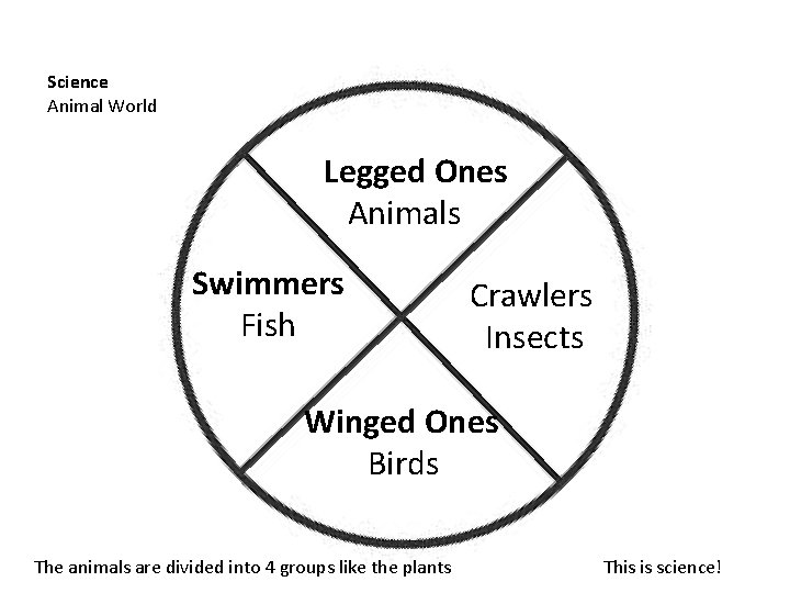 Science Animal World Legged Ones Animals Swimmers Fish Crawlers Insects Winged Ones Birds The