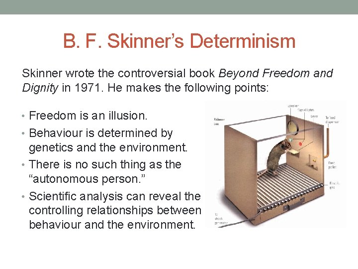 B. F. Skinner’s Determinism Skinner wrote the controversial book Beyond Freedom and Dignity in