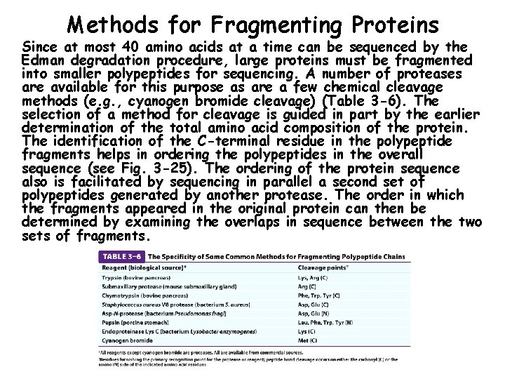Methods for Fragmenting Proteins Since at most 40 amino acids at a time can