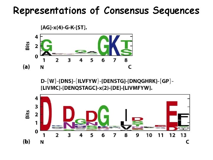 Representations of Consensus Sequences 