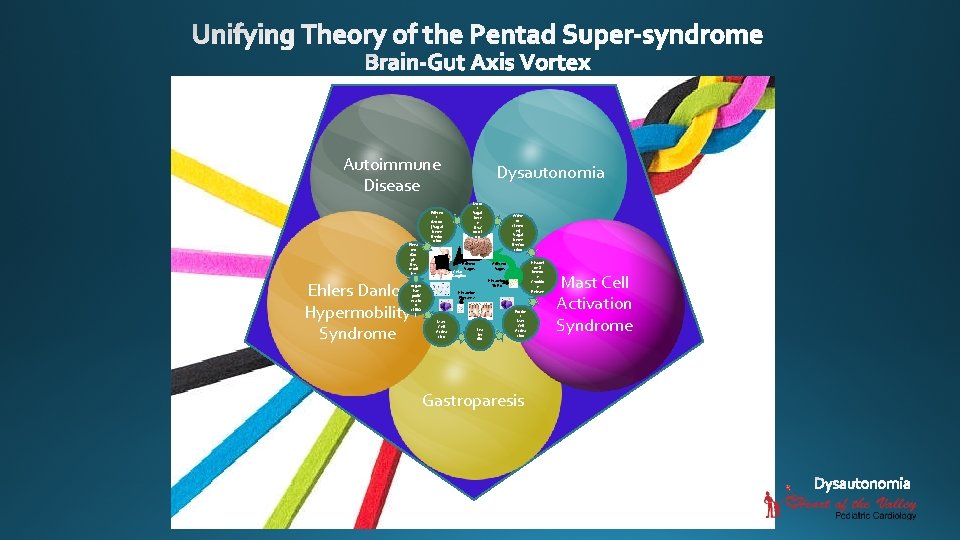 Autoimmune Disease Eleva ted Gut p. H Dys motil ity Ehlers Danlos Hypermobility Syndrome