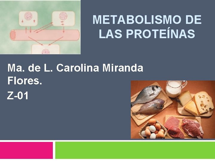 METABOLISMO DE LAS PROTEÍNAS Ma. de L. Carolina Miranda Flores. Z-01 