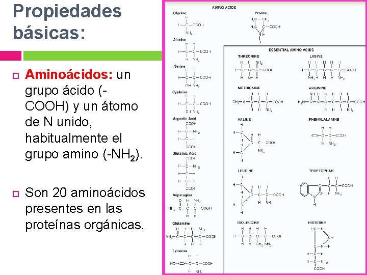 Propiedades básicas: Aminoácidos: un grupo ácido (COOH) y un átomo de N unido, habitualmente