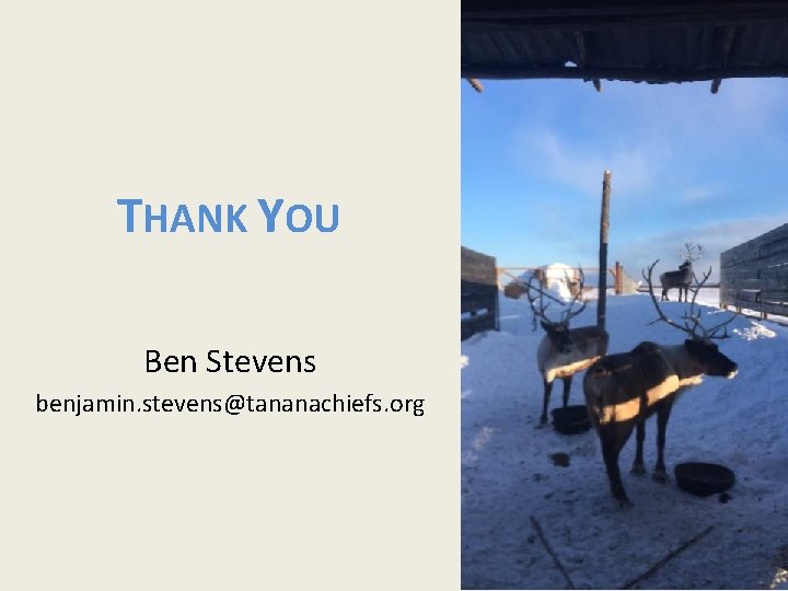 THANK YOU Ben Stevens benjamin. stevens@tananachiefs. org 