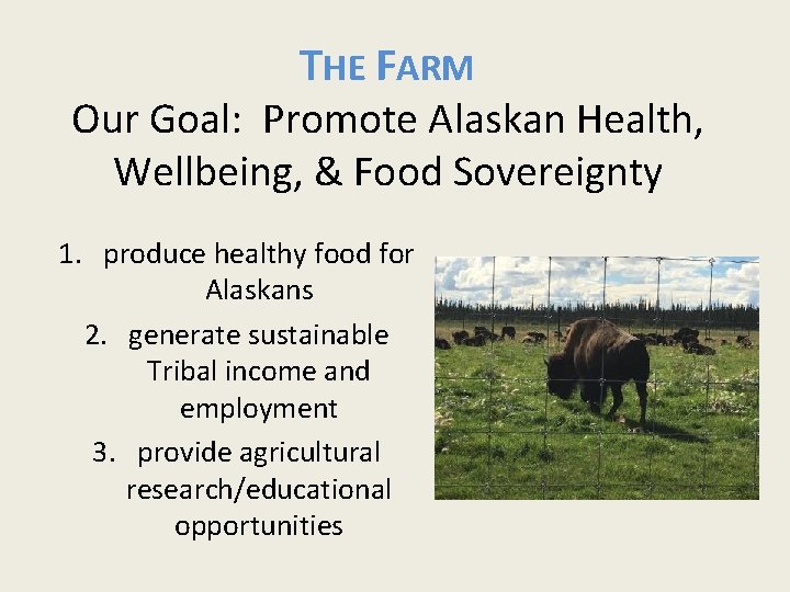 THE FARM Our Goal: Promote Alaskan Health, Wellbeing, & Food Sovereignty 1. produce healthy