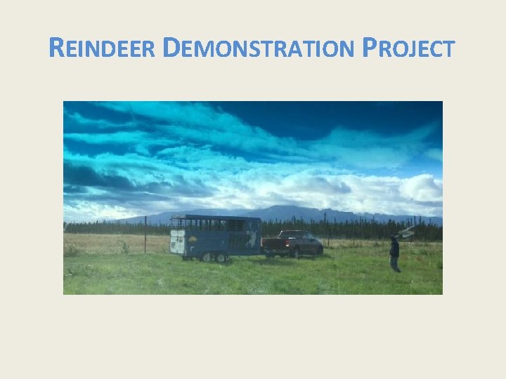 REINDEER DEMONSTRATION PROJECT 