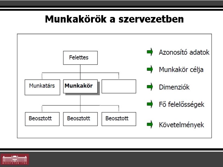 Munkakörök a szervezetben Munkakörök a szervezetben