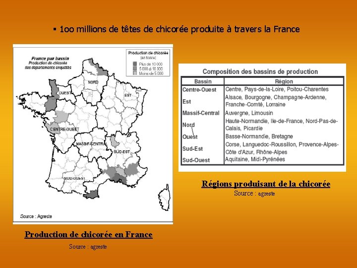 § 1 oo millions de têtes de chicorée produite à travers la France Régions