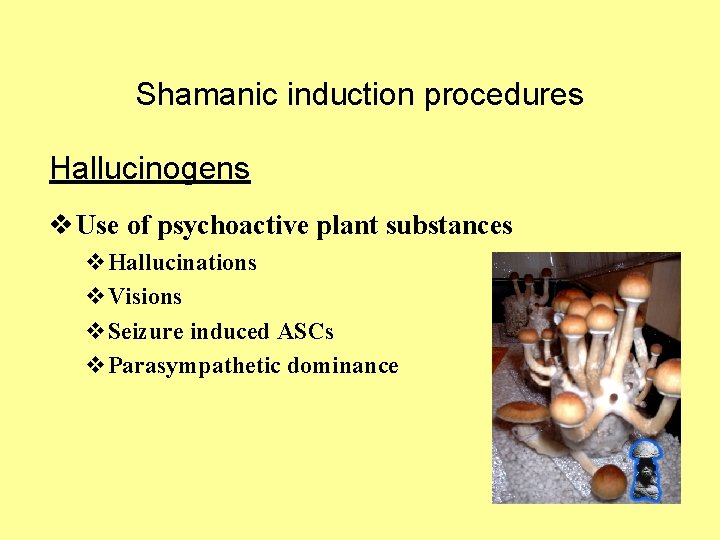 Shamanic induction procedures Hallucinogens v Use of psychoactive plant substances v. Hallucinations v. Visions