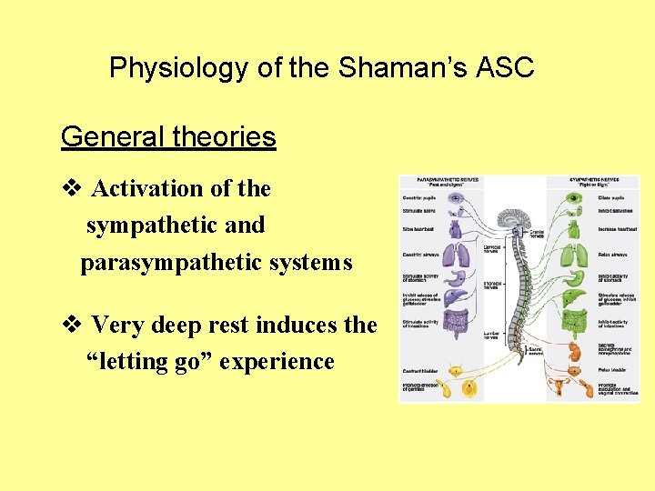 Physiology of the Shaman’s ASC General theories v Activation of the sympathetic and parasympathetic