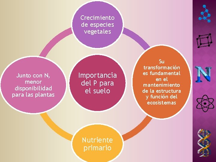 Crecimiento de especies vegetales Junto con N, menor disponibilidad para las plantas Importancia del Crecimiento de especies vegetales Junto con N, menor disponibilidad para las plantas Importancia del
