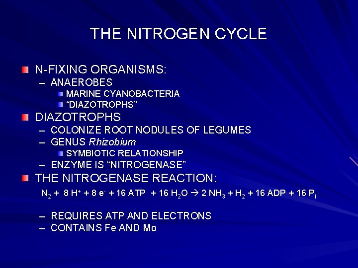 THE NITROGEN CYCLE N-FIXING ORGANISMS: – ANAEROBES MARINE CYANOBACTERIA “DIAZOTROPHS” DIAZOTROPHS – COLONIZE ROOT