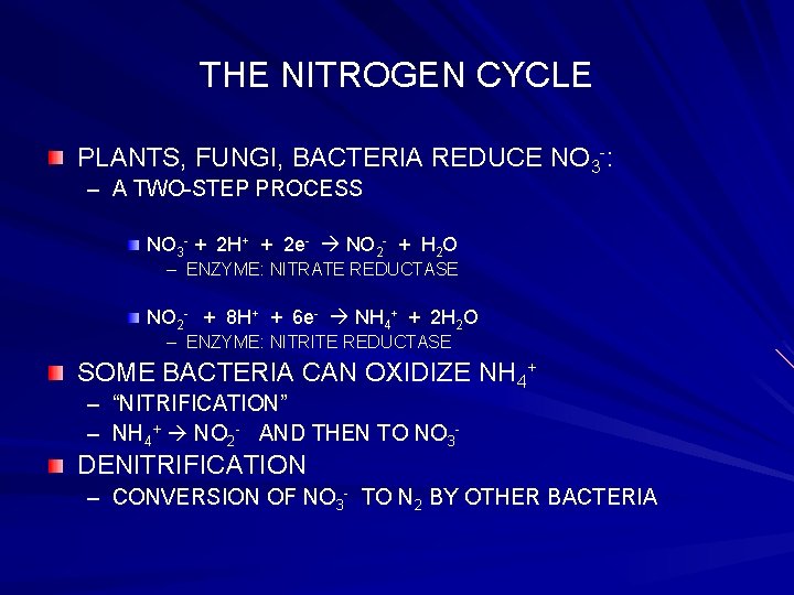 THE NITROGEN CYCLE PLANTS, FUNGI, BACTERIA REDUCE NO 3 -: – A TWO-STEP PROCESS