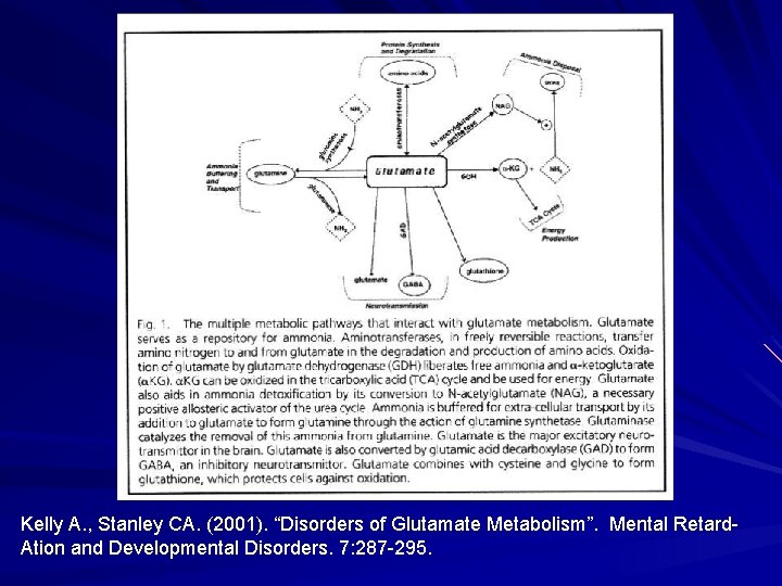 Kelly A. , Stanley CA. (2001). “Disorders of Glutamate Metabolism”. Mental Retard. Ation and