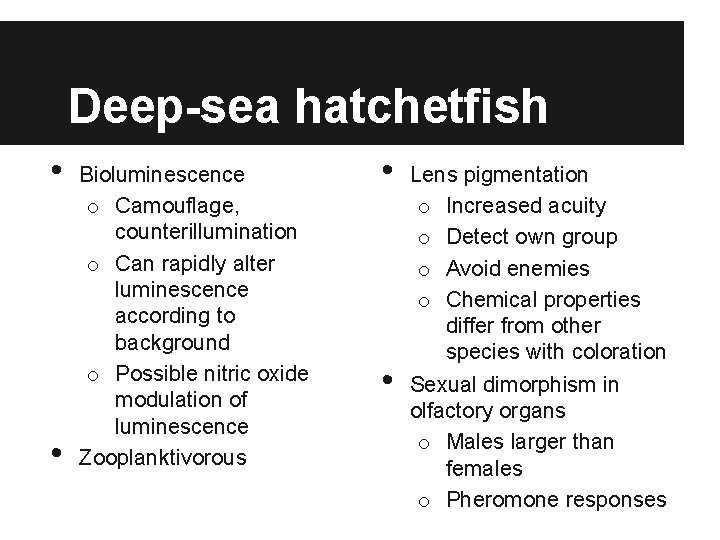 Deep-sea hatchetfish • • Bioluminescence o Camouflage, counterillumination o Can rapidly alter luminescence according