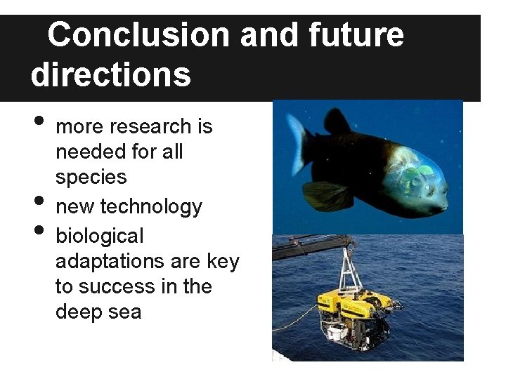 Conclusion and future directions • • • more research is needed for all species