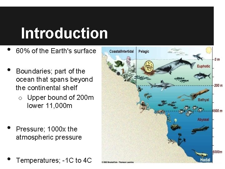 Introduction • • 60% of the Earth's surface Boundaries; part of the ocean that