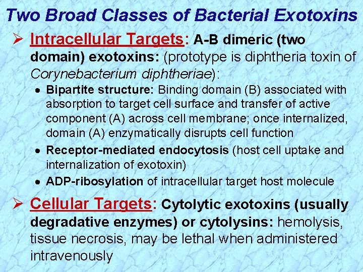 Two Broad Classes of Bacterial Exotoxins Ø Intracellular Targets: A-B dimeric (two domain) exotoxins: