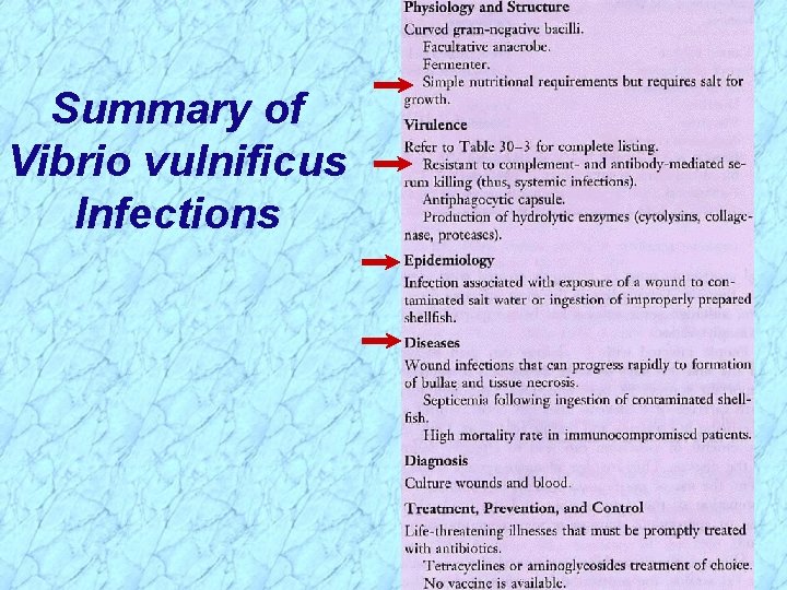 Summary of Vibrio vulnificus Infections 