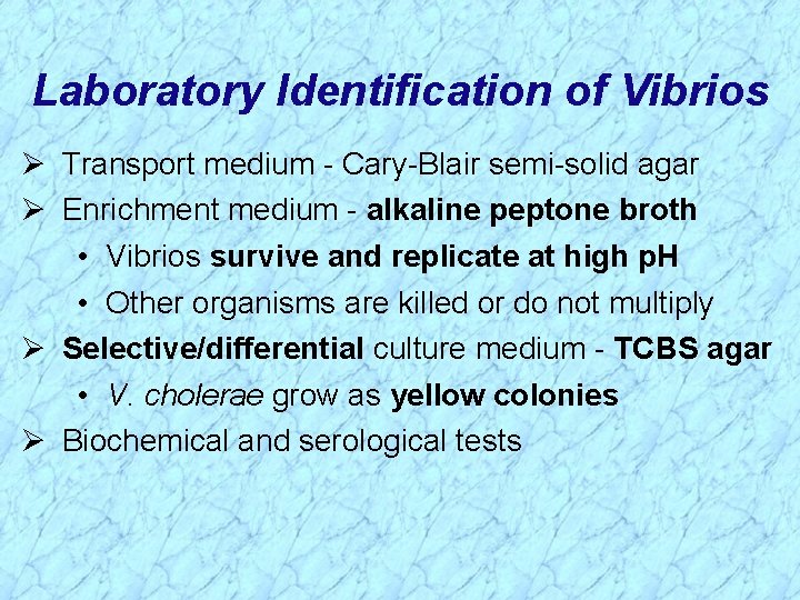 Laboratory Identification of Vibrios Ø Transport medium - Cary-Blair semi-solid agar Ø Enrichment medium