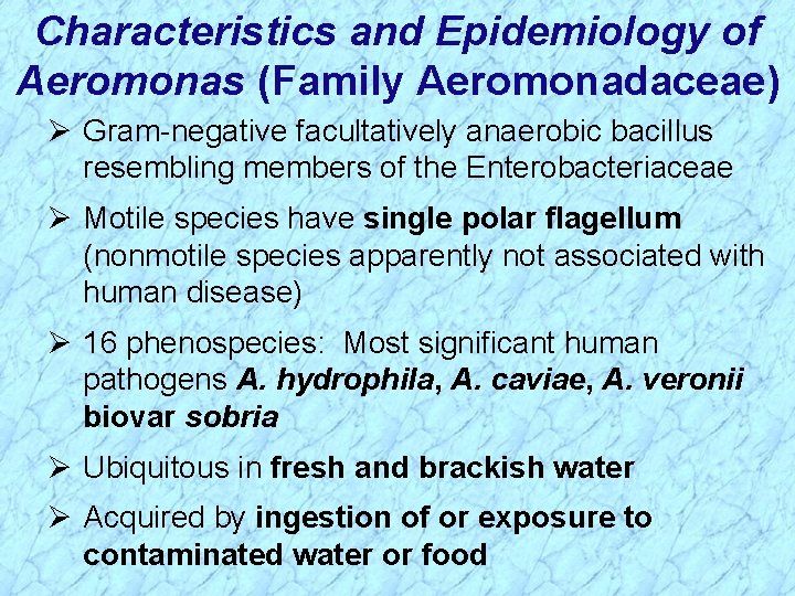 Characteristics and Epidemiology of Aeromonas (Family Aeromonadaceae) Ø Gram-negative facultatively anaerobic bacillus resembling members