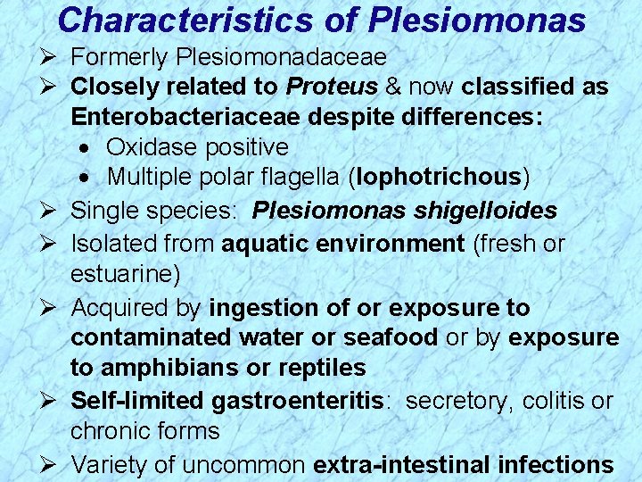 Characteristics of Plesiomonas Ø Formerly Plesiomonadaceae Ø Closely related to Proteus & now classified