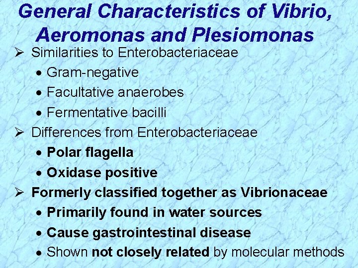 General Characteristics of Vibrio, Aeromonas and Plesiomonas Ø Similarities to Enterobacteriaceae · Gram-negative ·