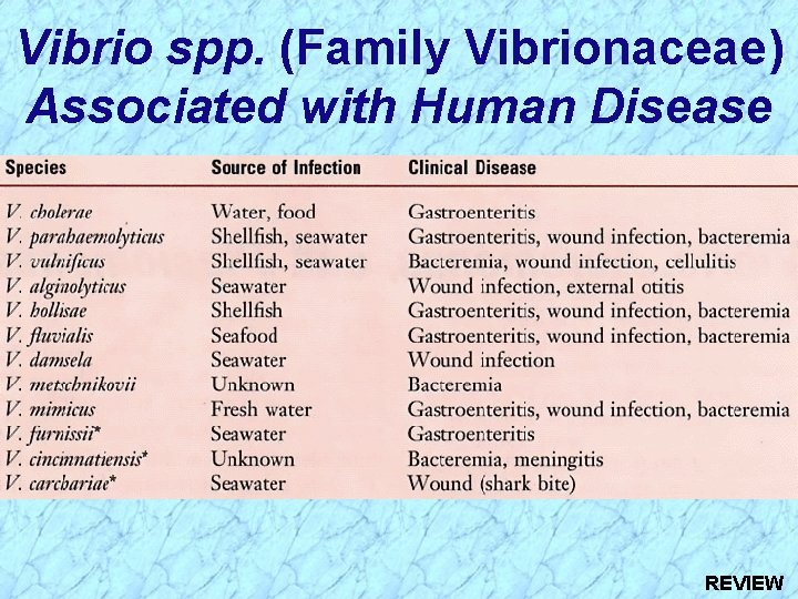Vibrio spp. (Family Vibrionaceae) Associated with Human Disease REVIEW 