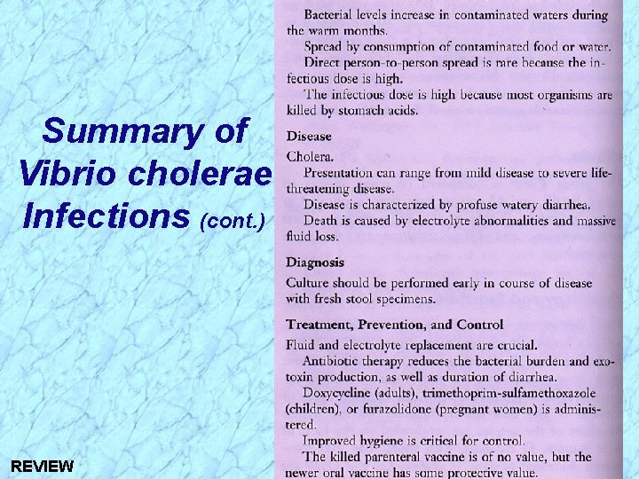 Summary of Vibrio cholerae Infections (cont. ) REVIEW 