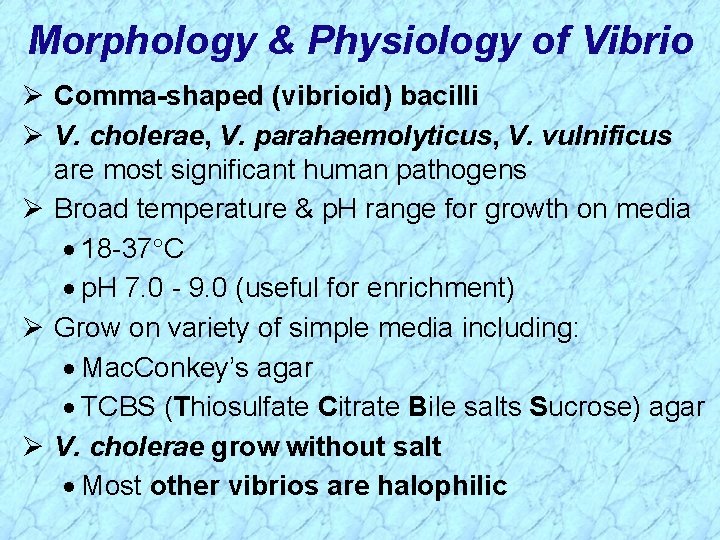 Morphology & Physiology of Vibrio Ø Comma-shaped (vibrioid) bacilli Ø V. cholerae, V. parahaemolyticus,
