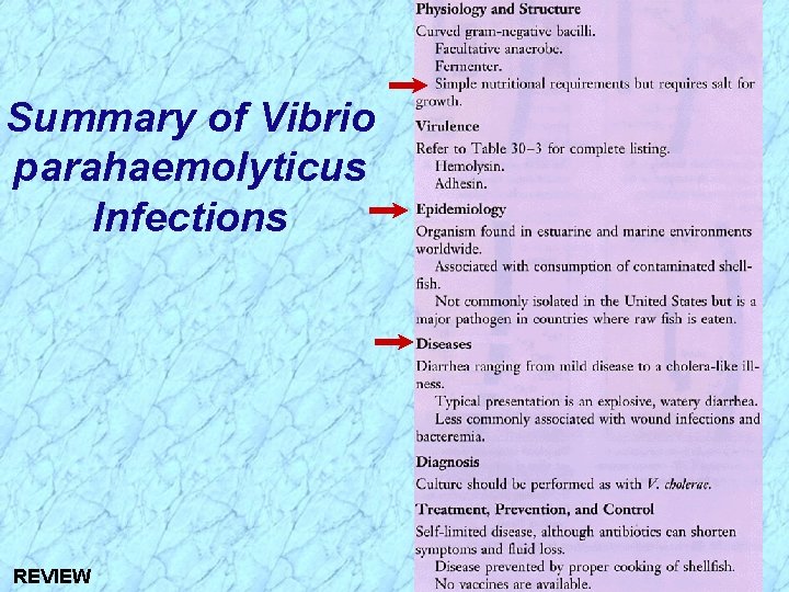 Summary of Vibrio parahaemolyticus Infections REVIEW 