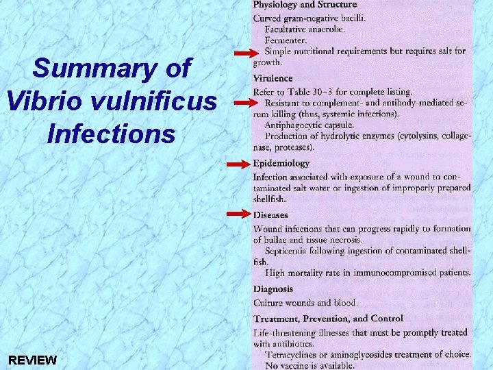 Summary of Vibrio vulnificus Infections REVIEW 