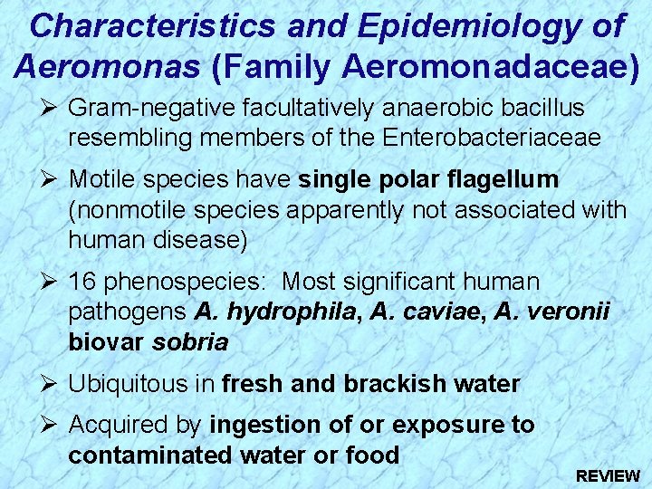 Characteristics and Epidemiology of Aeromonas (Family Aeromonadaceae) Ø Gram-negative facultatively anaerobic bacillus resembling members