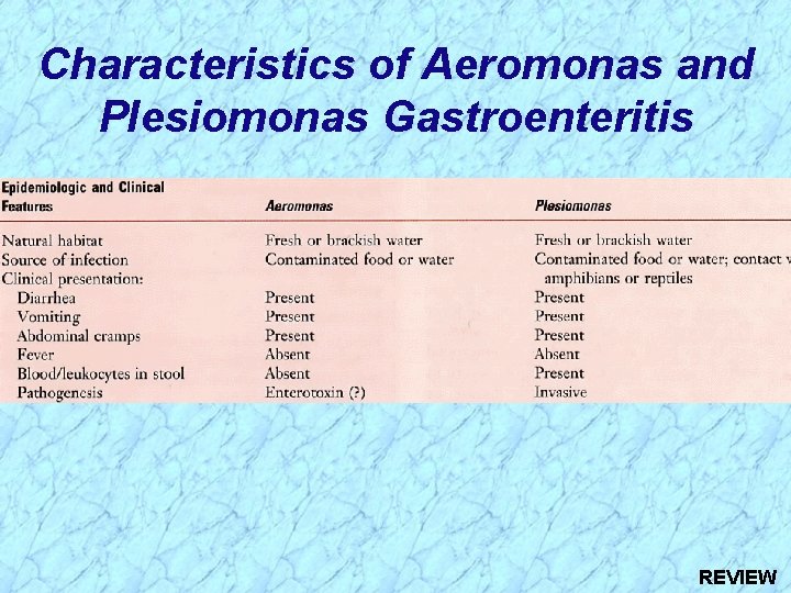 Characteristics of Aeromonas and Plesiomonas Gastroenteritis REVIEW 