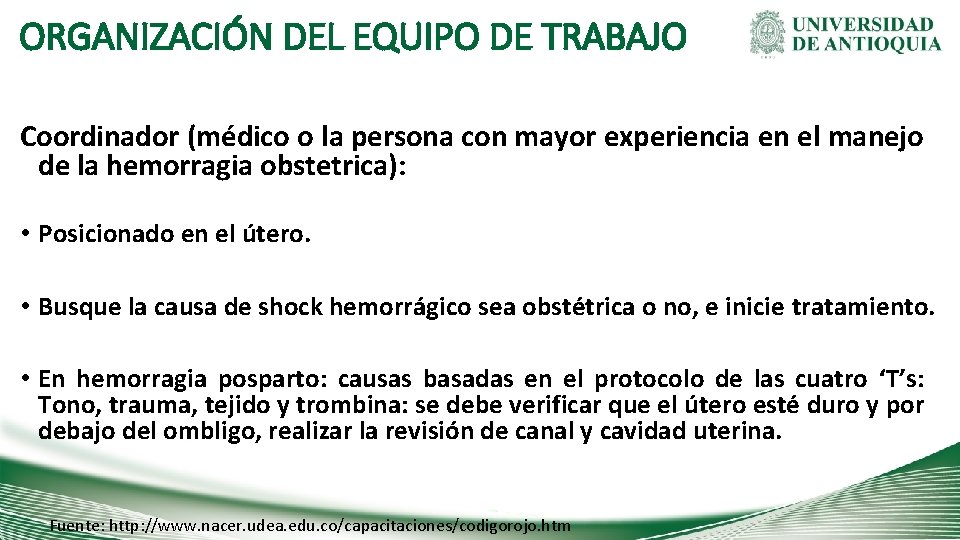 ORGANIZACIÓN DEL EQUIPO DE TRABAJO Coordinador (médico o la persona con mayor experiencia en