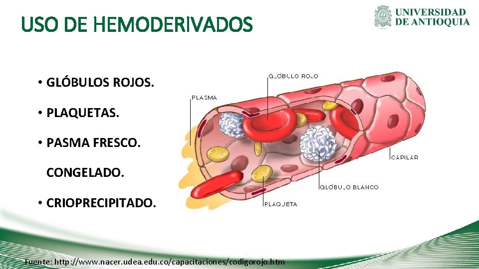 USO DE HEMODERIVADOS • GLÓBULOS ROJOS. • PLAQUETAS. • PASMA FRESCO. CONGELADO. • CRIOPRECIPITADO.