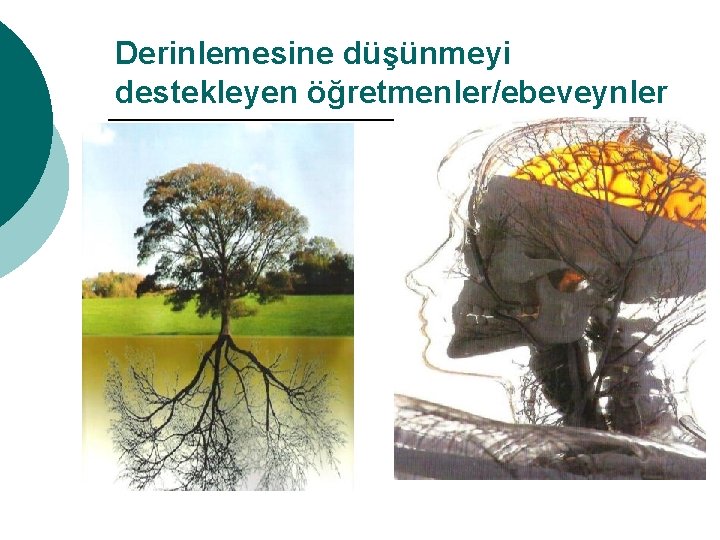 Derinlemesine düşünmeyi destekleyen öğretmenler/ebeveynler 