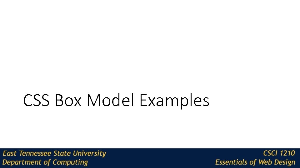 CSS Box Model Examples 
