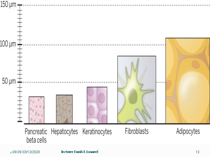  ﻡ 09: 09 03/12/2020 lecturer Farah E. Ismaeel 12 