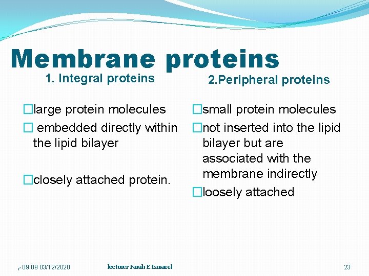 Membrane proteins 1. Integral proteins 2. Peripheral proteins �large protein molecules � embedded directly