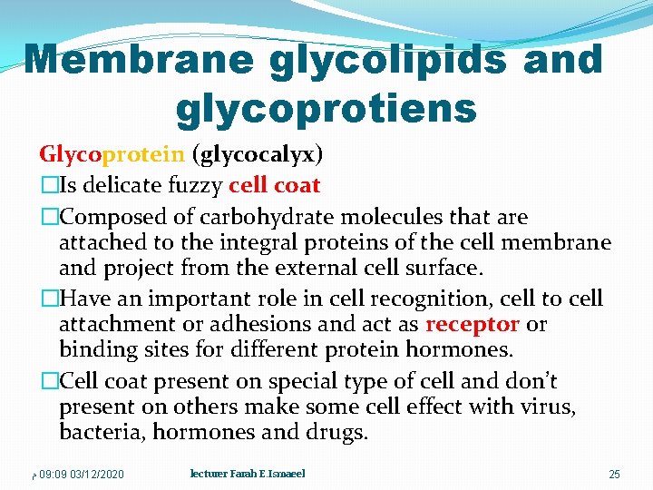Membrane glycolipids and glycoprotiens Glycoprotein (glycocalyx) �Is delicate fuzzy cell coat �Composed of carbohydrate