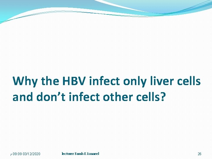 Why the HBV infect only liver cells and don’t infect other cells? ﻡ 09: