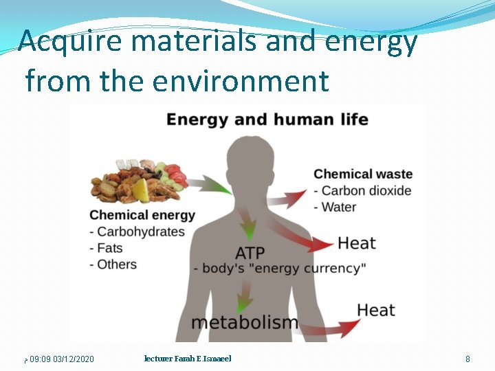Acquire materials and energy from the environment ﻡ 09: 09 03/12/2020 lecturer Farah E.