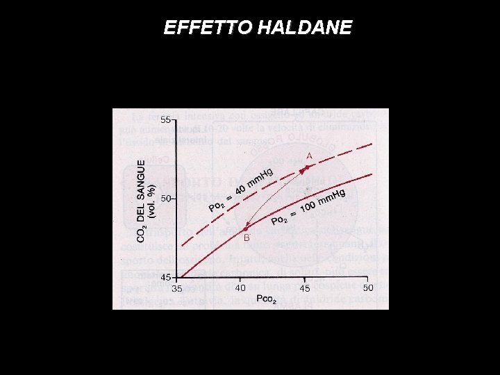 EFFETTO HALDANE 