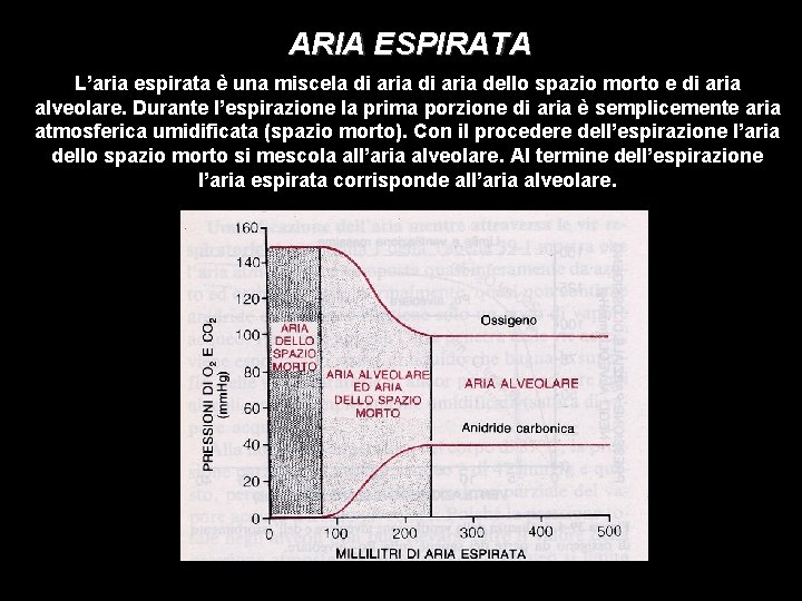 ARIA ESPIRATA L’aria espirata è una miscela di aria dello spazio morto e di