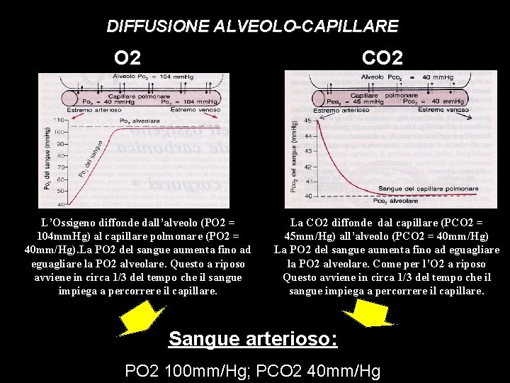 DIFFUSIONE ALVEOLO-CAPILLARE O 2 CO 2 L’Ossigeno diffonde dall’alveolo (PO 2 = 104 mm.