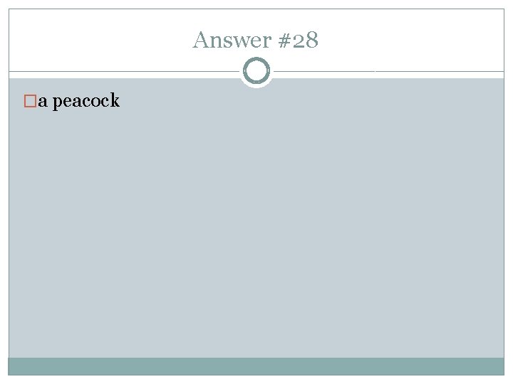 Answer #28 �a peacock 