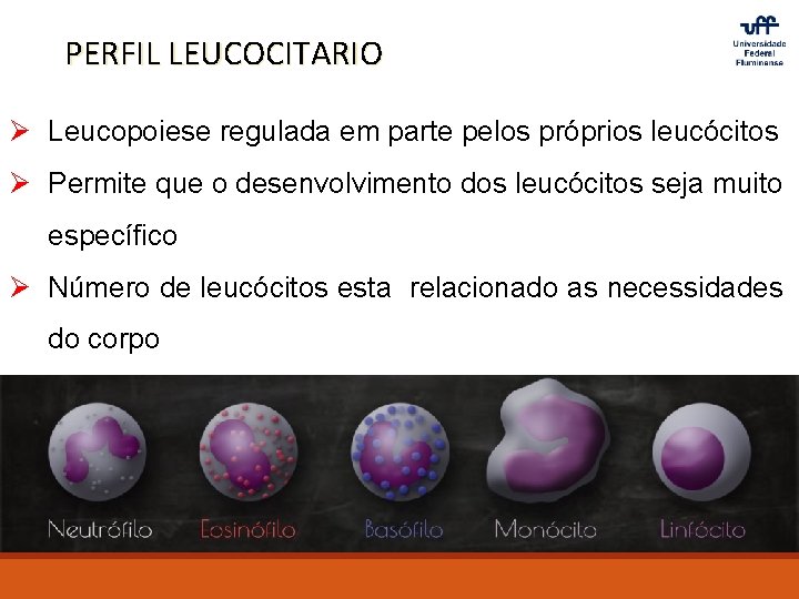 PERFIL LEUCOCITARIO Ø Leucopoiese regulada em parte pelos próprios leucócitos Ø Permite que o